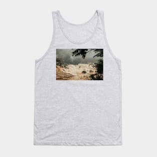 Farming fields in the Himalaya mountains Tank Top